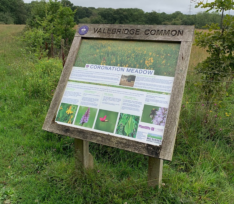 Coronation Meadow Bedelands