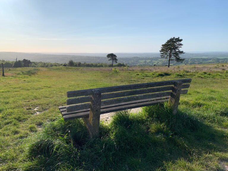 Ashdown Forest view from Gils Lap