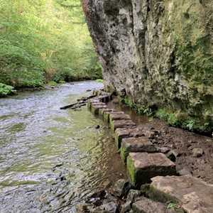 Chee Valley Stepping Stones