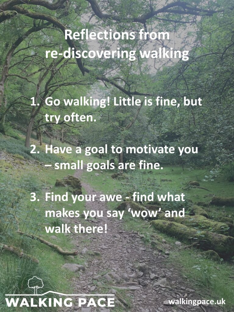 Reflections from rediscovering walking