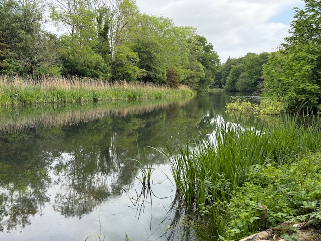 Gravetye Lower Lake from the Blue Route