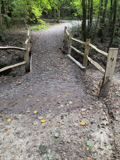 Gravetye Minepit Wood bridge Sept 2025 rotated